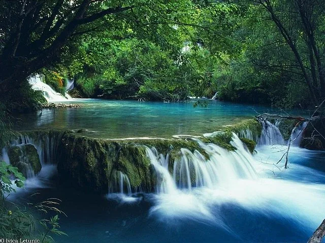 A scenic waterfall cascading into a clear blue pool surrounded by lush green trees.