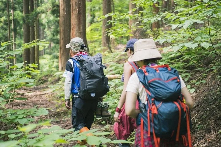 Gruppe von Wanderern mit Rucksäcken auf einem Weg durch einen dichten grünen Wald.